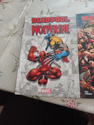 2deadpoll vs e deadpoll e wolverine
