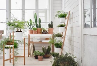 Estantería Escalera Macetas Ikea Madera Metal