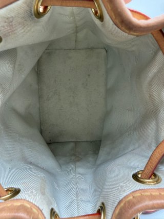 Bolso Louis Vuitton Nano Noé Edición Especial