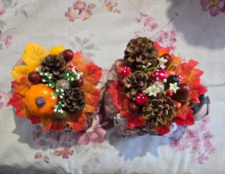 Decorazioni autunnali zucche e pigne