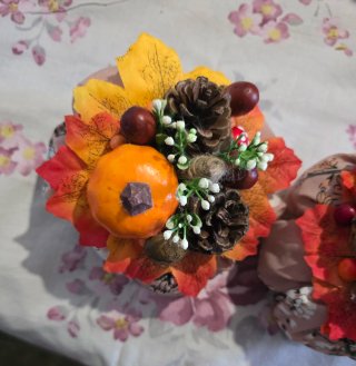 Decorazioni autunnali zucche e pigne