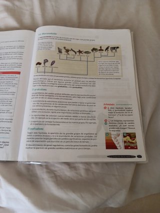 Biología y Geología, 4 ESO