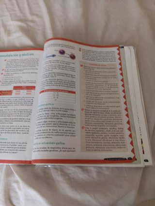 Biología y Geología, 4 ESO