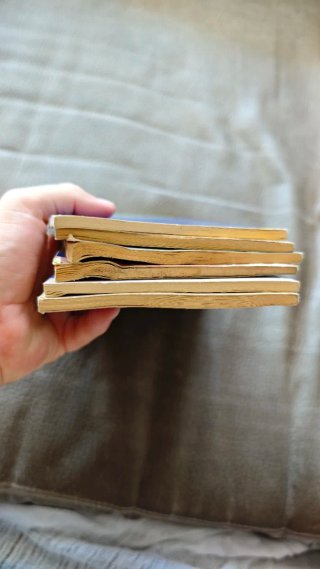 Lote 6 Libros Textos Bilingües (Inglés-Español)