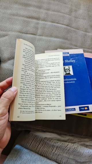 Lote 6 Libros Textos Bilingües (Inglés-Español)