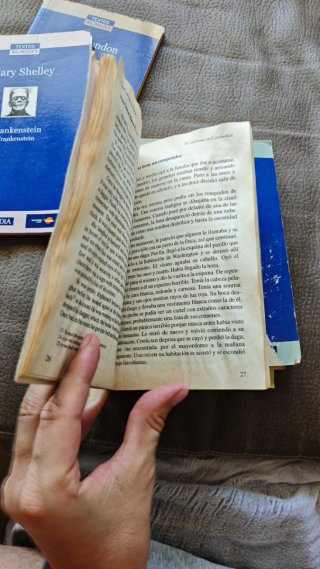 Lote 6 Libros Textos Bilingües (Inglés-Español)