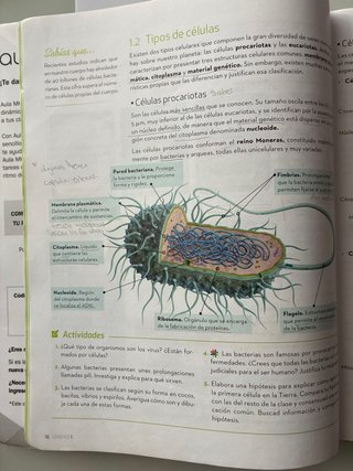 Biologia y geologia 3 ESO, ISBN 9788448636753