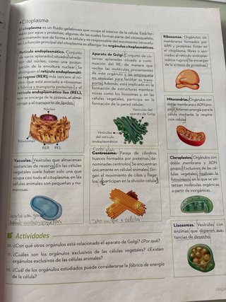Biologia y geologia 3 ESO, ISBN 9788448636753
