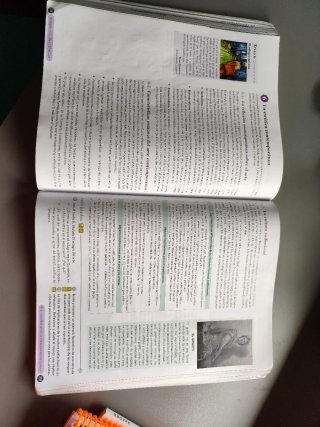 Filosofía 1º Bachillerato. Libro del estudiante...