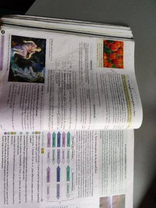 Filosofía 1º Bachillerato. Libro del estudiante...