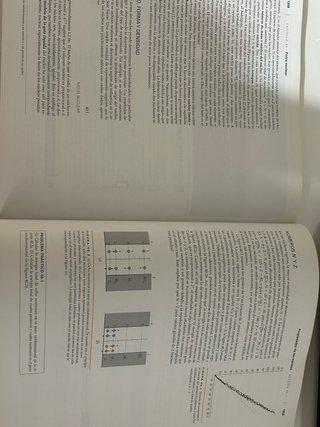 Física para la ciencia y la tecnología Física m...