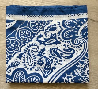 Foulard in cotone blu e bianco