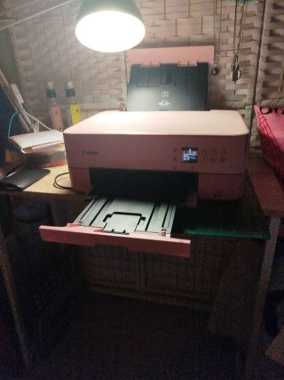 Impresora Canon TS5352a Rosa