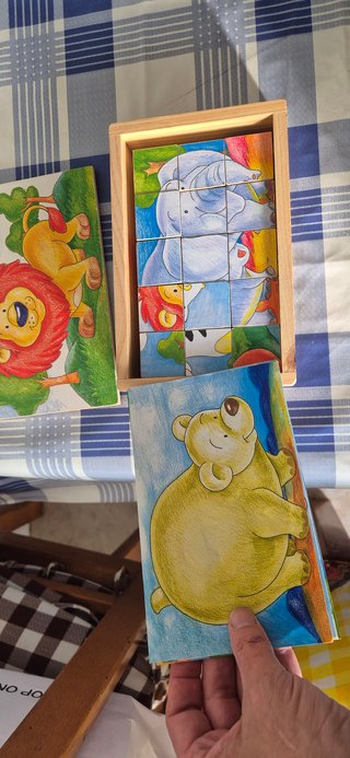 Libro infantil educativo leones
