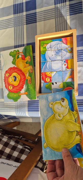 Libro infantil educativo leones