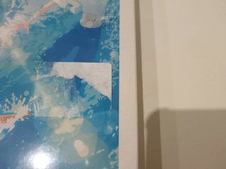 El amor está en el agua BD + DVD