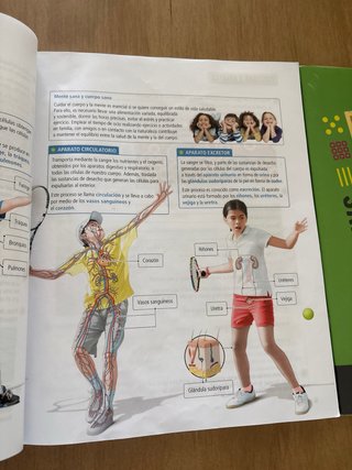 Proyecto: FanFest. Ciencias de la Naturaleza 5 ...