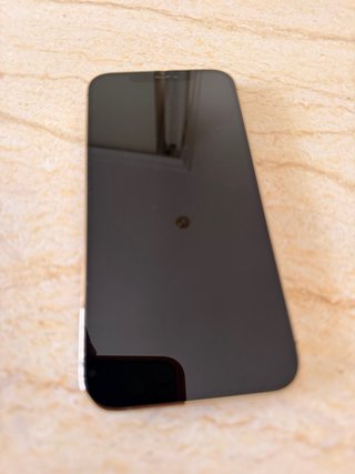 iPhone 12 Pro Max Dorado 256GB