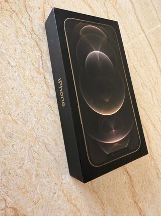 iPhone 12 Pro Max Dorado 256GB