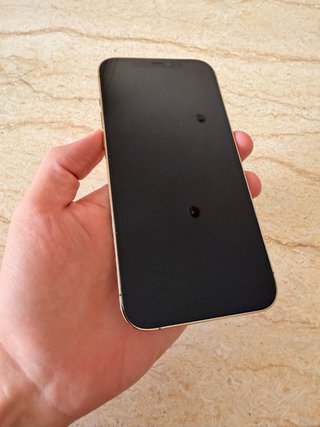 iPhone 12 Pro Max Dorado 256GB
