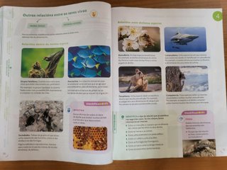 CIENCIAS DA NATUREZA 5 PRIMARIA CONSTRUINDO MUNDOS