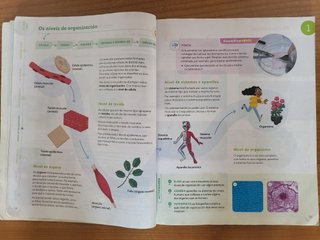 CIENCIAS DA NATUREZA 5 PRIMARIA CONSTRUINDO MUNDOS