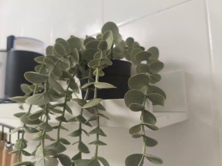 2 Estantes Ikea Blancos 115cm y 55cm