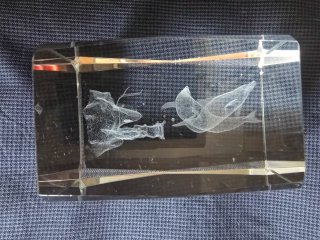 Figura de cristal óptico con delfines