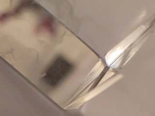 Figura de cristal óptico con delfines