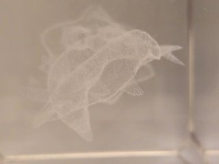 Figura de cristal óptico con delfines
