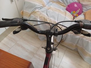 2 Bicicletas Raleigh Quest Pioneer