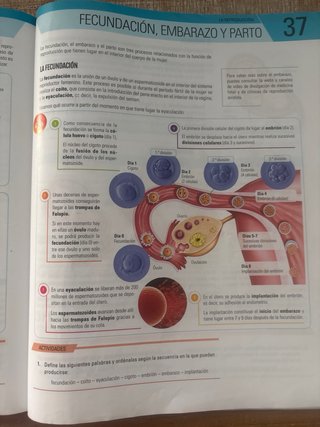 Biología y Geología II, ESO, Secundaria, De otr...