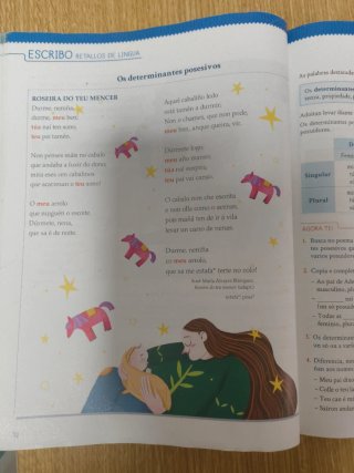 Lingua 4, Educación Primaria, Tecelingua