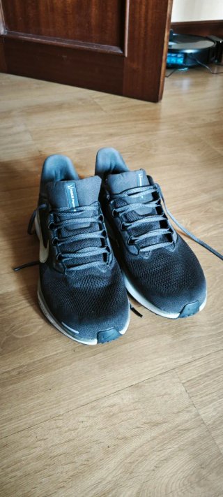 Nike Air Zoom Pegasus Negro/Plata