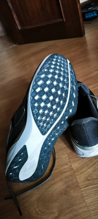 Nike Air Zoom Pegasus Negro/Plata