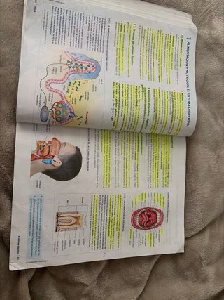 Anatomía Aplicada