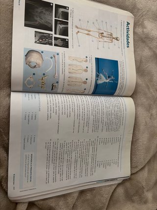 Anatomía Aplicada