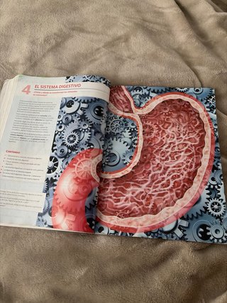 Anatomía Aplicada