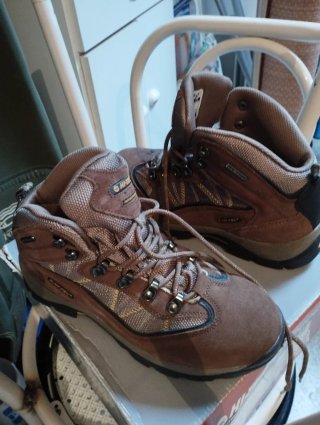 Botas de montaña marrones