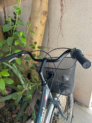 Bicicleta de paseo Romani