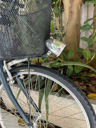 Bicicleta de paseo Romani
