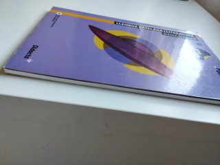 Llengua catalana i literatura, 4 ESO, Punt Volat