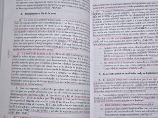 Lecciones de derecho penal Parte general