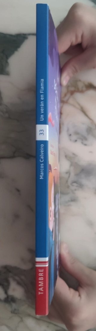 Un verán en Flamia