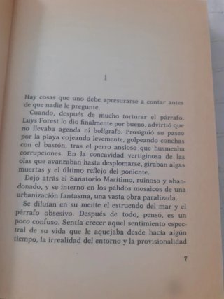 La muchacha de las bragas de oro : novela