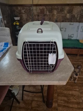 Transportín gato/perro pequeño beige/morado