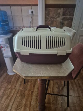 Transportín gato/perro pequeño beige/morado