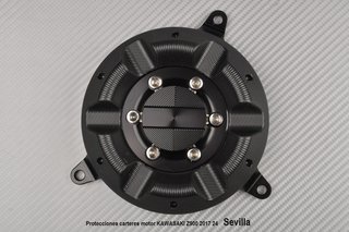 Protecciones carteres motor KAWASAKI Z900 2017 24