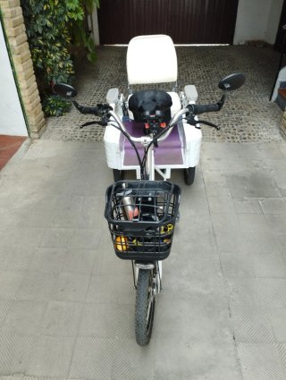 Triciclo eléctrico con asiento trasero