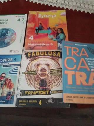 Lote de libros 4° ESO Colegio La Enseñanza